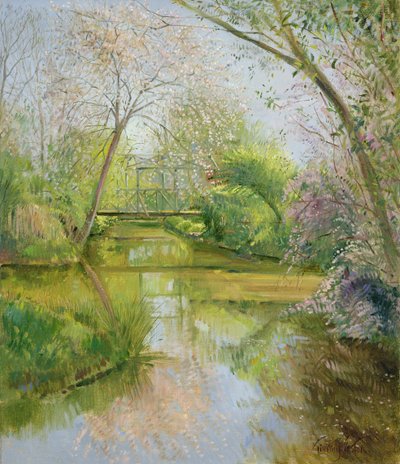 Volle bloei door Timothy Easton